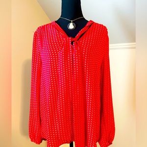 DR2 long sleeves sheer blouse